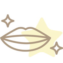 審美歯科（セラミック）